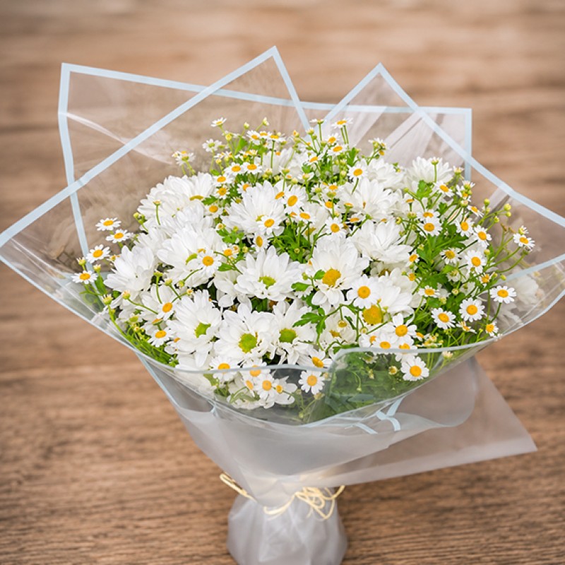 Bouquet of daisies