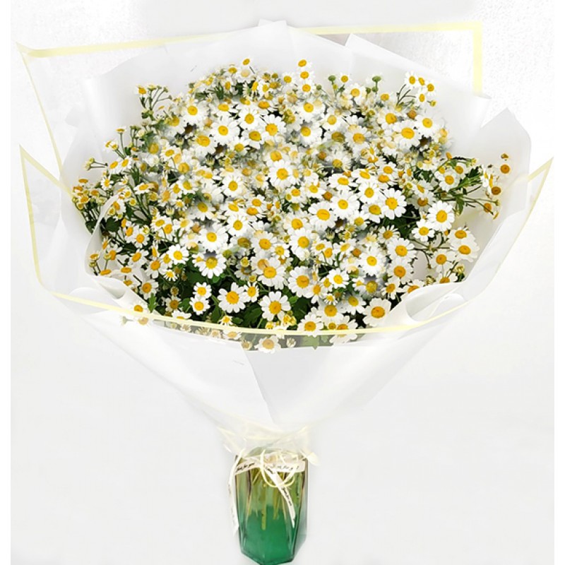 Bouquet of field daisies