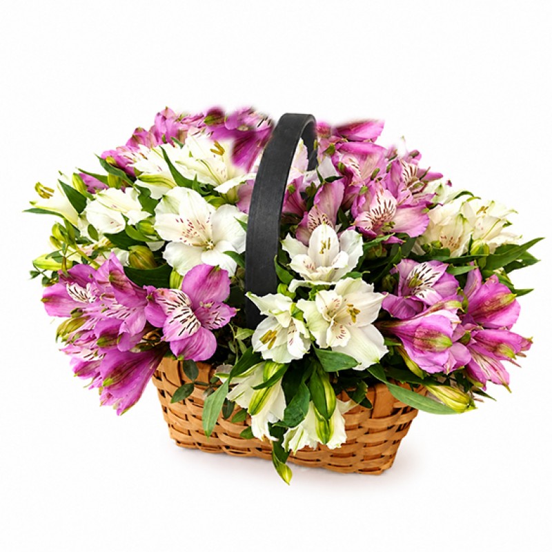 Basket alstroemeria flowers