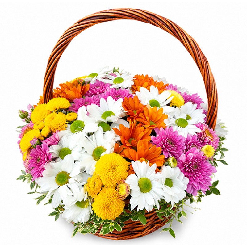 Basket  carnival