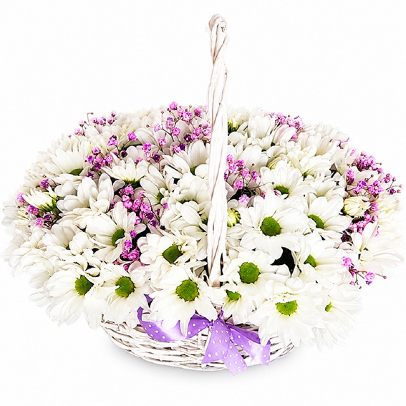 Daisies basket