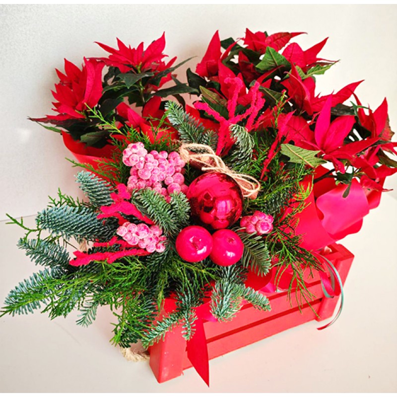 Christmas arrangement with poinsettia
