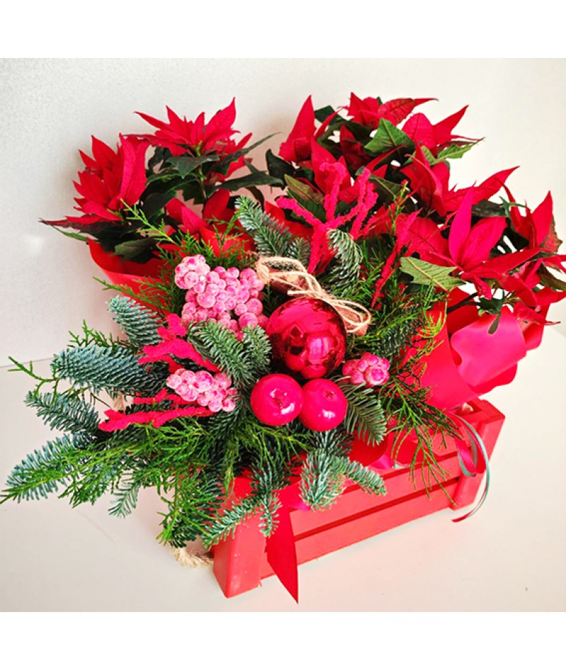 Christmas arrangement with poinsettia