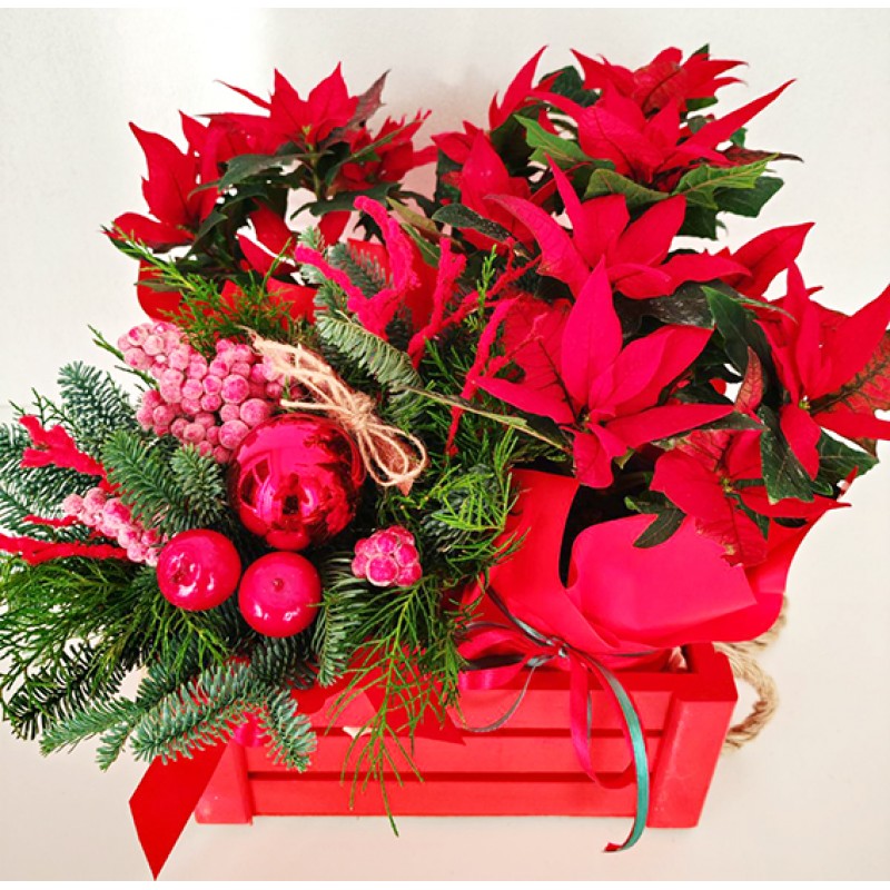 Christmas arrangement with poinsettia