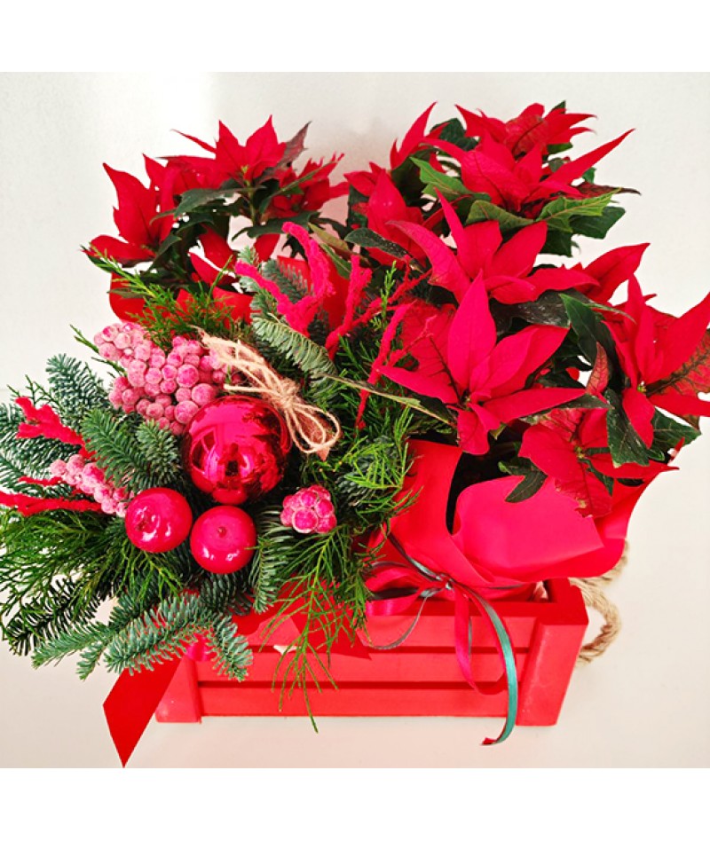 Christmas arrangement with poinsettia